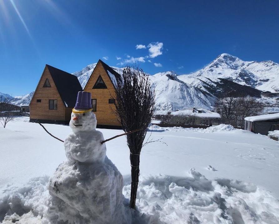 Via Kazbegi Villa Екстериор снимка